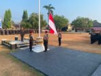 WhatsApp Image 2026-08-17 at 11.01.42
